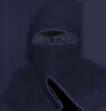 The Fat Ninja